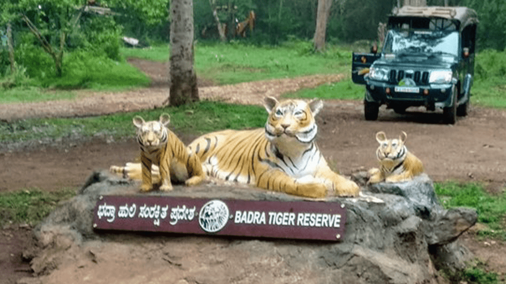Bhadra wildlife sanctuary