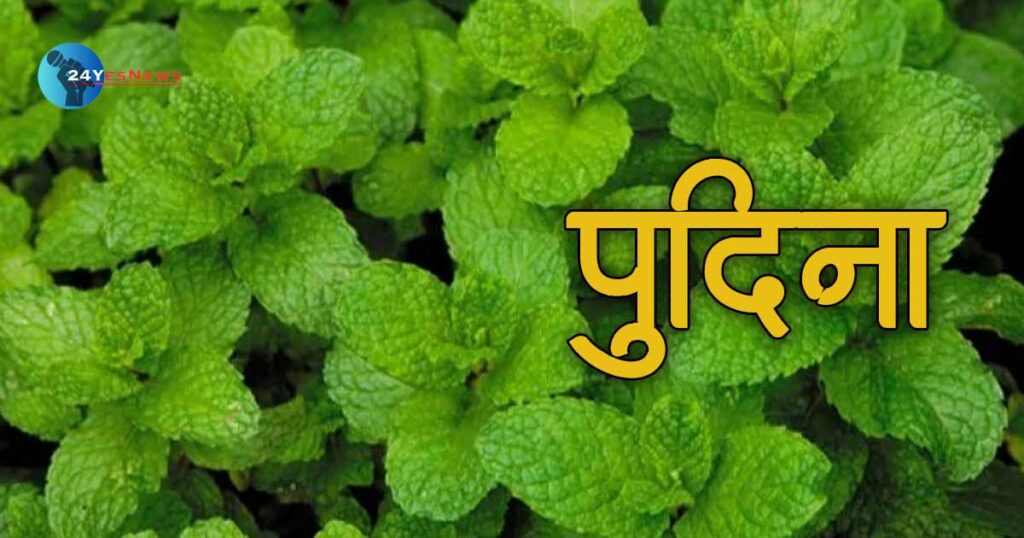 कोरडा खोकला Amazing Home Remedies