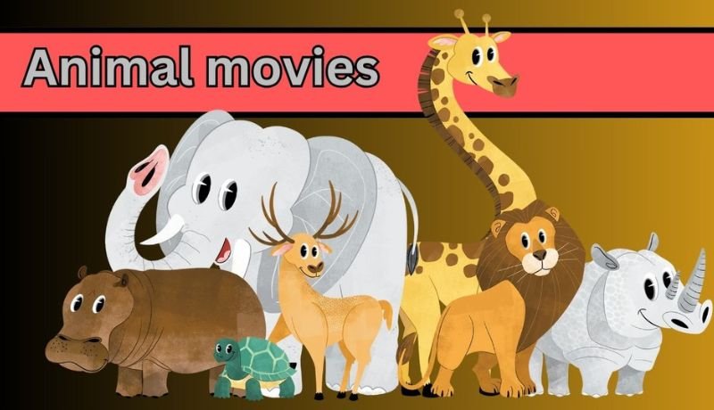 Animal movie