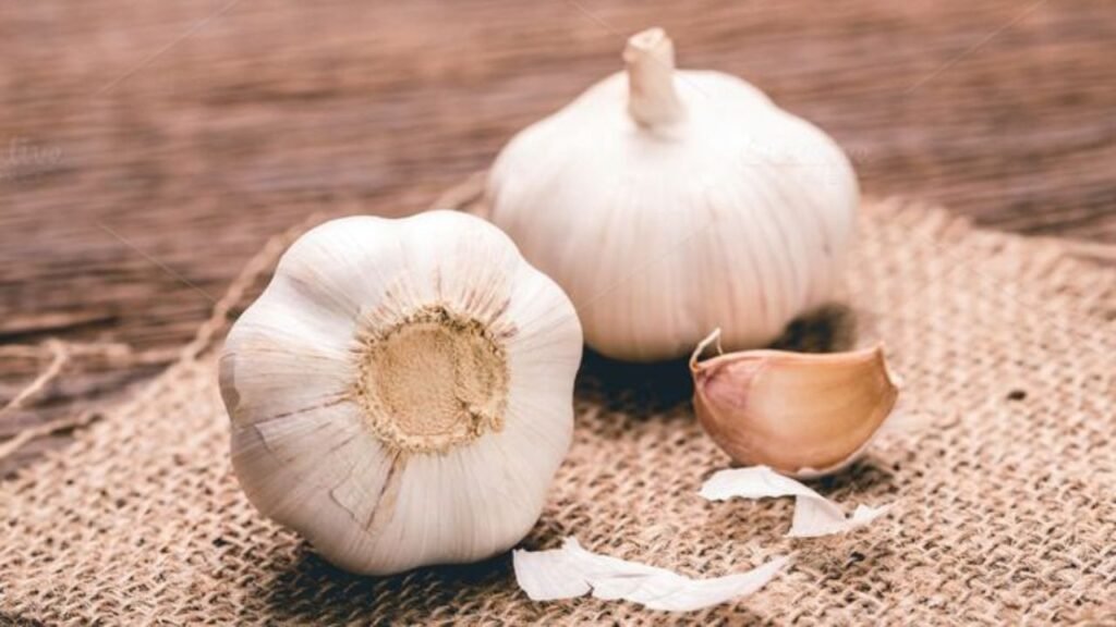 Garlic