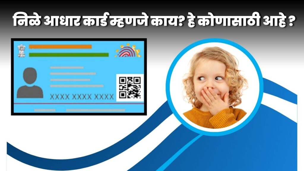 Blue Aadhaar Card